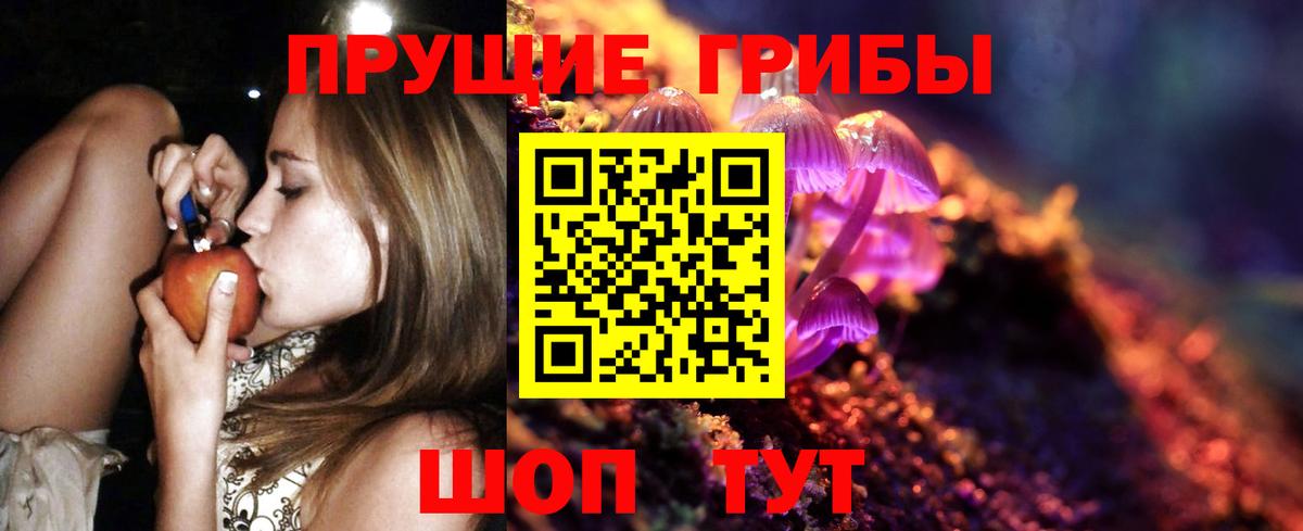 Псилоцибиновые грибы Psilocybine cubensis  Вход с VPN  Верхний Уфалей  Псилоцибиновые грибы мухоморы 