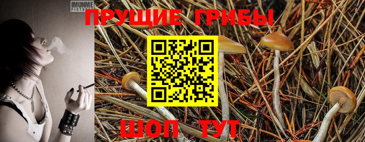 Псилоцибиновые грибы мухоморы Верхний Уфалей